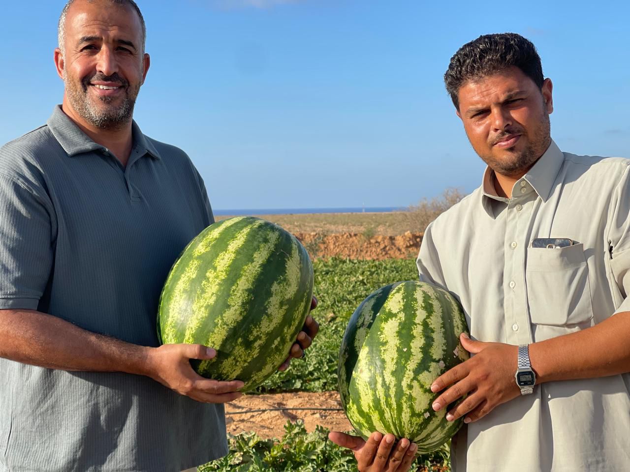 صورة زراعية